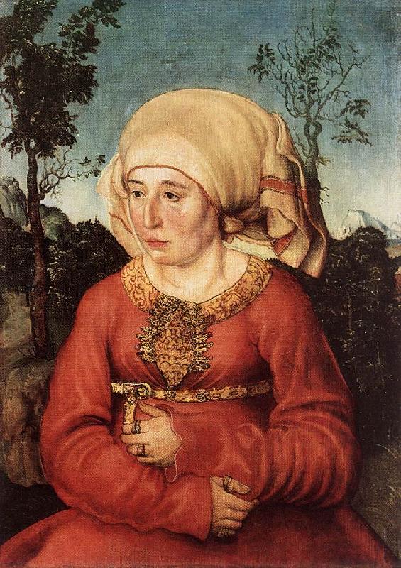 CRANACH, Lucas the Elder Portrait of Frau Reuss dgg